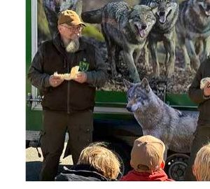 Wolf-Info-Mobil zu Besuch in der Grundschule
